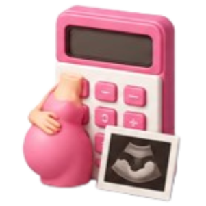 Pregnancy Due Date Calculator